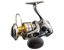 Катушка Shimano Biomaster SW 8000PG